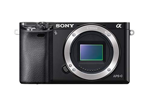 Bestes sony alpha 6000 im Jahr 2022 [Basierend auf 50 Expertenbewertungen]