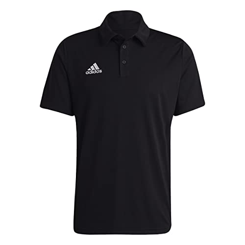 Bestes poloshirt herren im Jahr 2022 [Basierend auf 50 Expertenbewertungen]