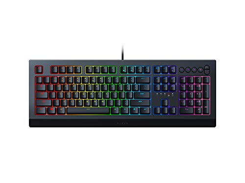 Bestes razer tastatur im jahr 2024 [Basierend auf 50 Expertenbewertungen]