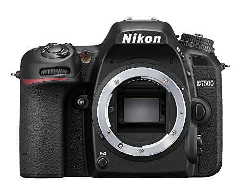 Bestes nikon d7500 im jahr 2024 [Basierend auf 50 Expertenbewertungen]