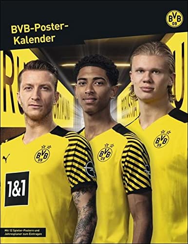 Bestes bvb im jahr 2024 [Basierend auf 50 Expertenbewertungen]