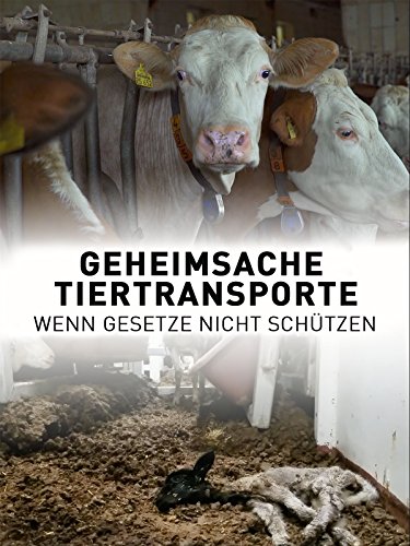 Bestes vegan im jahr 2024 [Basierend auf 50 Expertenbewertungen]