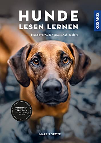 Bestes hund im jahr 2024 [Basierend auf 50 Expertenbewertungen]